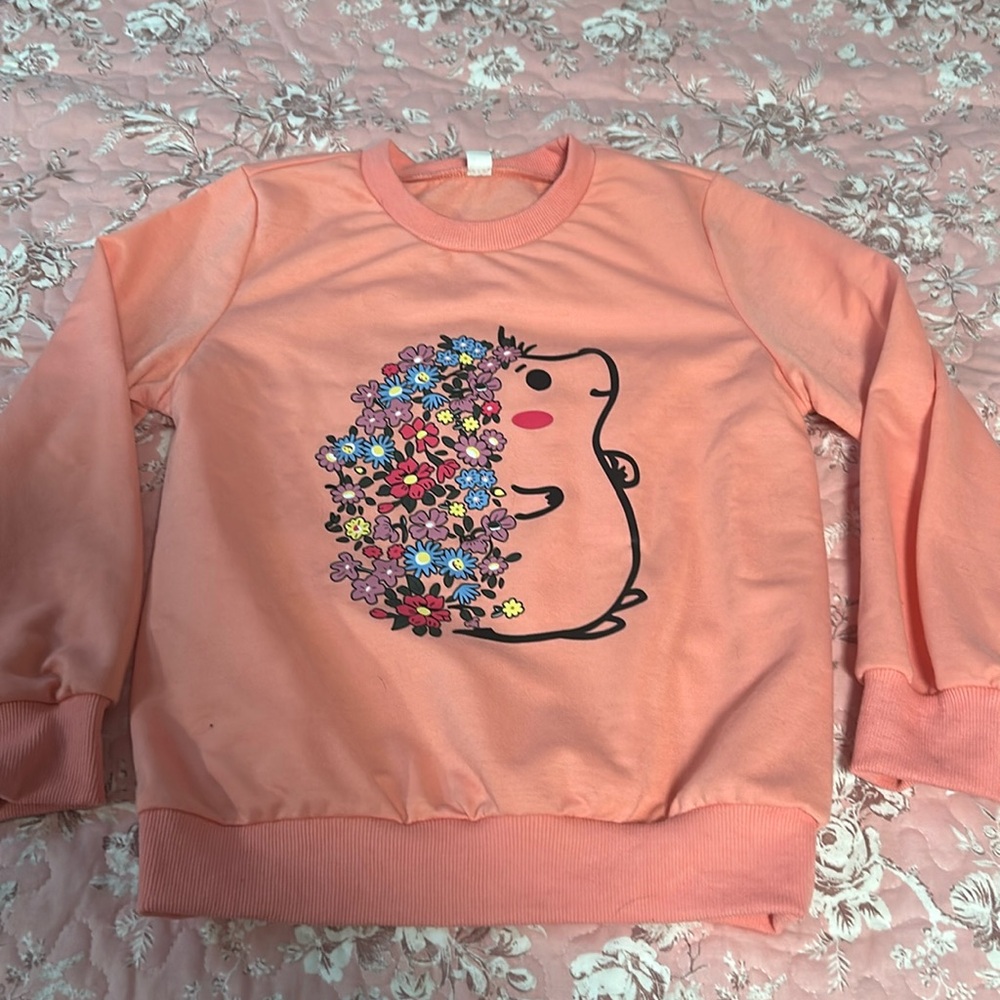Hedgehog Sweatshirt Size 5/6